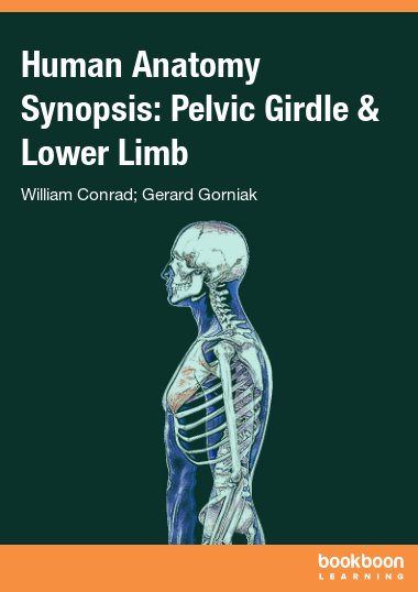 Human Anatomy Synopsis: Pelvic Girdle & Lower Limb