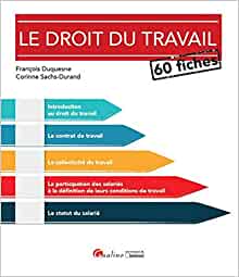 Le Droit du travail en 60 fiches