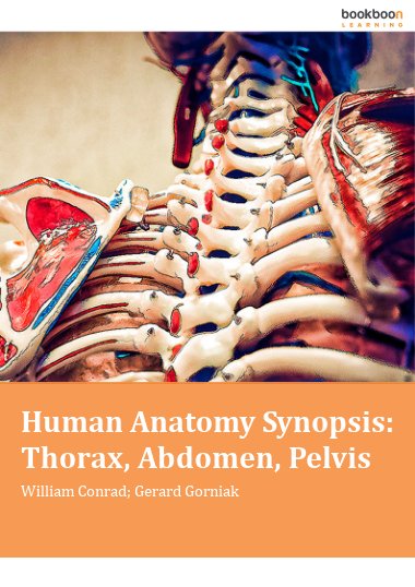 Human Anatomy Synopsis: Thorax, Abdomen, Pelvis